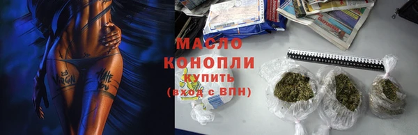 гашик Инта