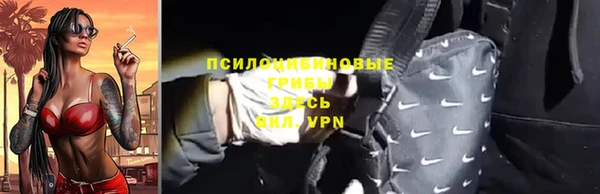 прущая мука Инсар
