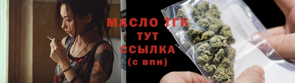 гашик Инта