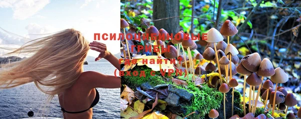 гашик Инта