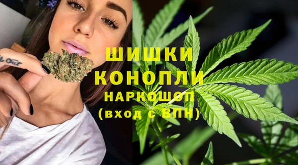 гашик Инта