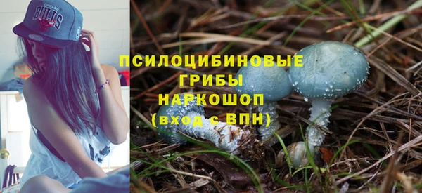 гашик Инта