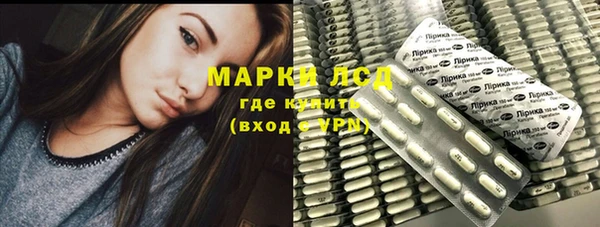 гашик Инта