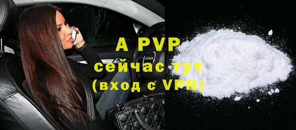 гашик Инта