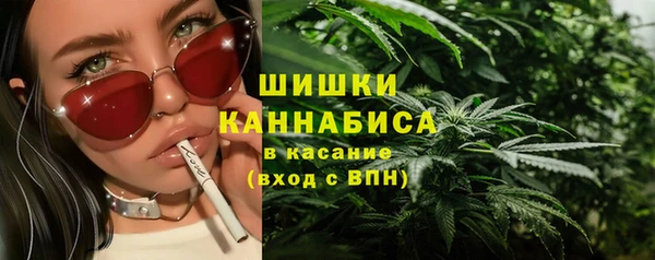 гашик Инта