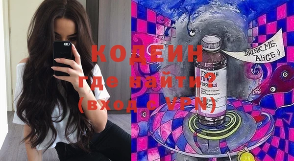 гашик Инта