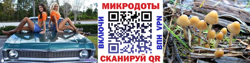 Псилоцибиновые грибы Psilocybine cubensis Дмитриев