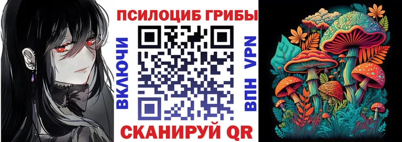 Купить закладки  Дмитриев  Псилоцибиновые грибы мицелий 